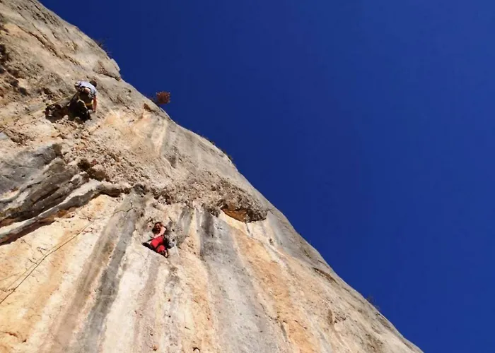 Sweet With A Terrace